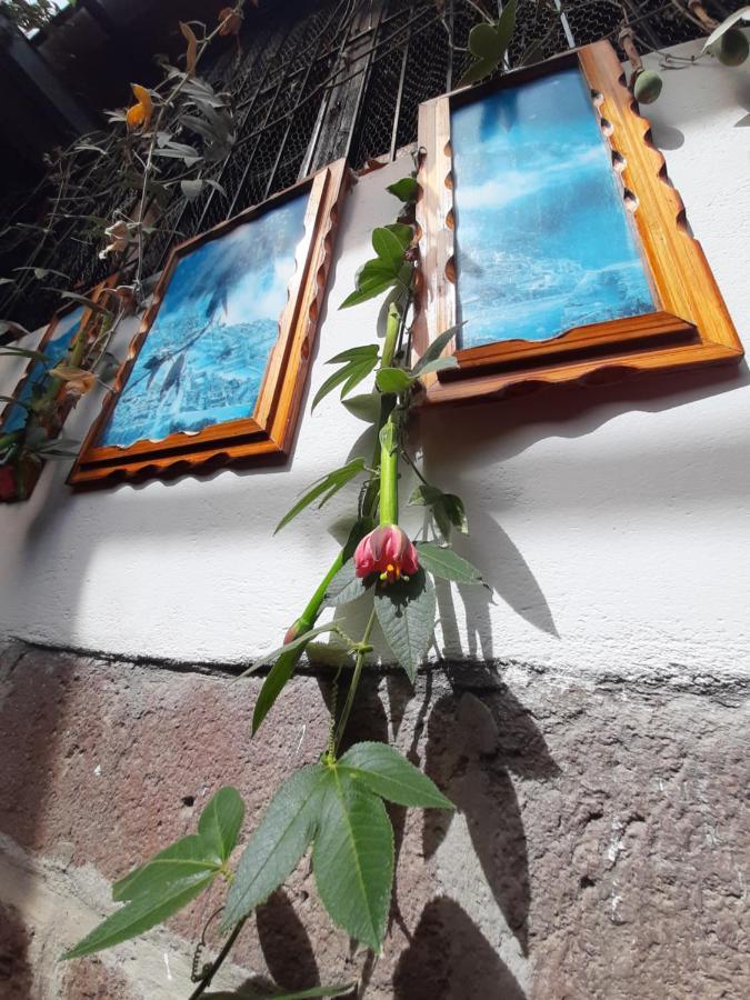 Готель La Casa De Laura - Plaza Куско Екстер'єр фото